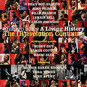 Thumbnail for the Ronnie Baker Brooks - Make These Blues Survive link, provided by host site