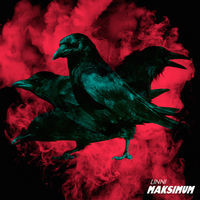 Thumbnail for the Linni - Maksimum link, provided by host site