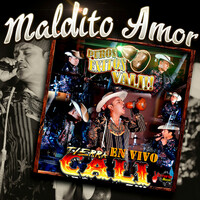 Thumbnail for the Tierra Cali - Maldito Amor (En Vivo) link, provided by host site