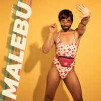 Thumbnail for the Conchita Wurst - Malebu link, provided by host site