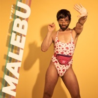 Thumbnail for the Conchita Wurst - Malebu link, provided by host site