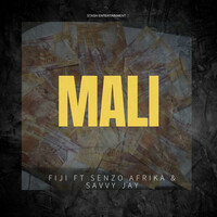 Thumbnail for the Fiji - Mali link, provided by host site