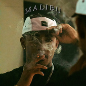 Thumbnail for the Pantera - Malibu link, provided by host site