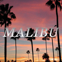 Thumbnail for the Wido - Malibú link, provided by host site