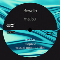 Thumbnail for the Rawdio - Malibu link, provided by host site