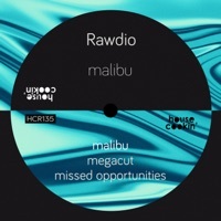 Thumbnail for the Rawdio - Malibu link, provided by host site