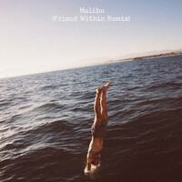 Thumbnail for the The Driver Era - Malibu (Friend Within remix) link, provided by host site