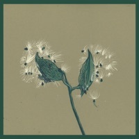 Thumbnail for the Dirty Projectors - Mallet Hocket (Instrumental) link, provided by host site