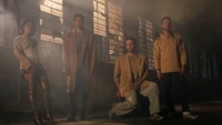 Thumbnail for the Tom & Collins - Malo link, provided by host site