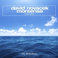 Thumbnail for the David Novacek - Mambo link, provided by host site