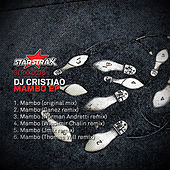 Thumbnail for the DJ Cristiao - Mambo link, provided by host site