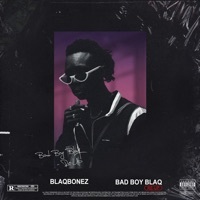 Thumbnail for the Blaqbonez - Mamiwota [Remix] link, provided by host site