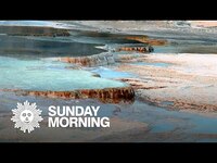 Thumbnail for the CBS Sunday Morning - Mammoth Hot Springs at Yellowstone link, provided by host site