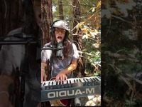 Thumbnail for the Jon Wiilde - Man Sings In Forest link, provided by host site