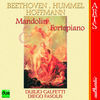 Thumbnail for the Diego Fasolis - Mandolin & Fortepiano link, provided by host site
