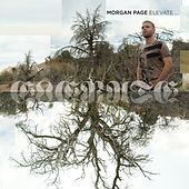 Thumbnail for the Morgan Page - Maneater (David Garcia & Morgan Page Remix Edit) link, provided by host site