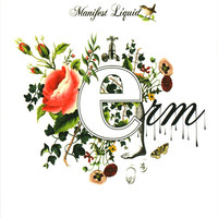 Thumbnail for the ERM - Manifest Liquid link, provided by host site