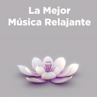 Thumbnail for the Relax - Manifestations link, provided by host site