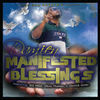 Thumbnail for the Damien - Manifested Blessings link, provided by host site