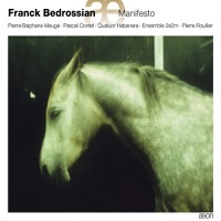 Thumbnail for the Pierre Roullier - Manifesto (2008) link, provided by host site