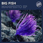 Thumbnail for the Big Fish - Manifesto link, provided by host site