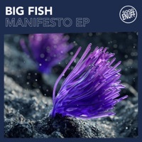 Thumbnail for the Big Fish - Manifesto link, provided by host site