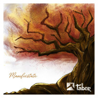 Thumbnail for the Tabor - Manifiestate link, provided by host site