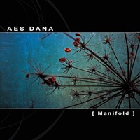 Thumbnail for the AES DANA - Manifold link, provided by host site