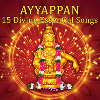 Thumbnail for the Pushpavanam Kuppusamy - Manikanda Undan link, provided by host site