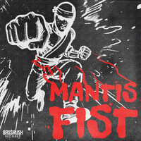Thumbnail for the Rusko - Mantis Fist link, provided by host site