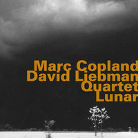 Thumbnail for the Marc Copland - Marc Coplan - David Liebman Quartet: Lunar link, provided by host site