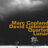 Thumbnail for the Marc Copland - Marc Coplan - David Liebman Quartet: Lunar link, provided by host site