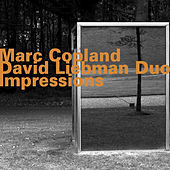 Thumbnail for the David Liebman - Marc Copland - David Liebman Duo: Impressions link, provided by host site