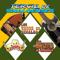 Thumbnail for the Los Bravos - Marejada link, provided by host site