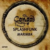 Thumbnail for the Splashfunk - Marimba link, provided by host site