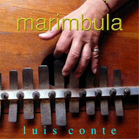 Thumbnail for the Luis Conte - Marimbula link, provided by host site