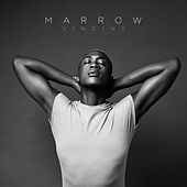 Thumbnail for the VINCINT - Marrow link, provided by host site