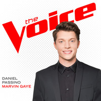 Thumbnail for the Daniel Passino - Marvin Gaye (The Voice Performance) link, provided by host site