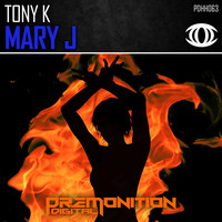 Image of TonyK linking to their artist page due to link from them being at the top of the main table on this page