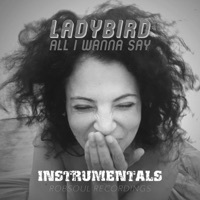 Thumbnail for the Ladybird - Mary Jane (Instrumental) link, provided by host site