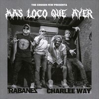 Thumbnail for the Los Rabanes - Mas Loco Que Ayer link, provided by host site