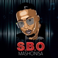 Thumbnail for the SBO - Mashonisa link, provided by host site