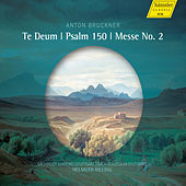 Thumbnail for the Helmuth Rilling - Mass No. 2 in E Minor, WAB 27: Benedictus link, provided by host site