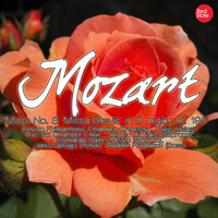 Thumbnail for the Jolanta Ciurilaite - Mass No. 8 'Missa Brevis' in D major, K. 194: III. Credo link, provided by host site