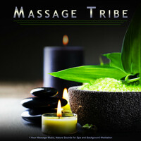 Thumbnail for the Massage Tribe - Massage Tribe: 1 Hour Massage Music, Nature Sounds for Spa and Background Meditation link, provided by host site