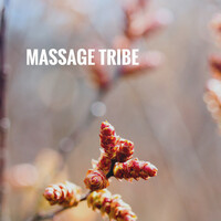 Thumbnail for the Relaxation And Meditation - Massage Tribe link, provided by host site