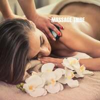 Thumbnail for the Relaxation And Meditation - Massage Tribe link, provided by host site