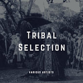Thumbnail for the Danny Dee - Massai Tribal Gathering link, provided by host site
