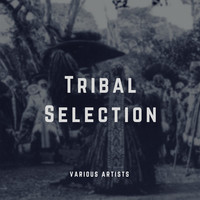Thumbnail for the Danny Dee - Massai Tribal Gathering link, provided by host site