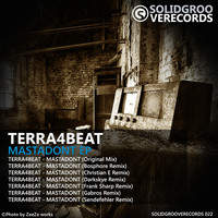 Thumbnail for the Terra4Beat - Mastadont link, provided by host site